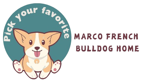 michellgoldendoodles